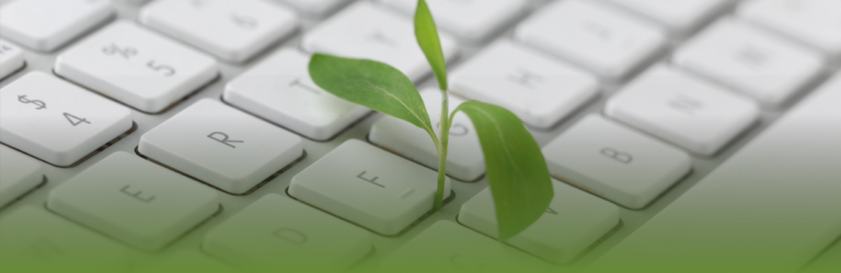 O que é conteúdo evergreen e como usá-lo na sua estratégia